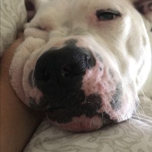 Meet your Posher, Dawn